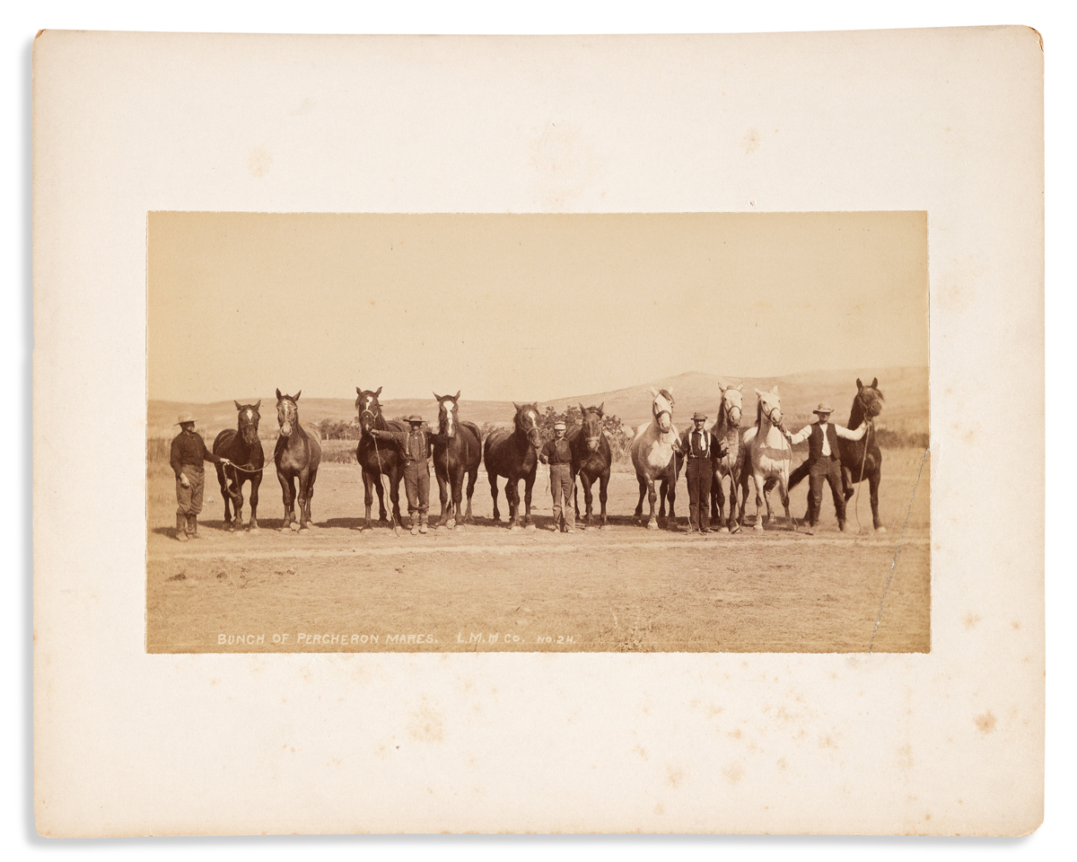 (WEST--NORTH DAKOTA.) Truman Ward Ingersoll, photographer. Photographs of the Little Missouri Horse Company.